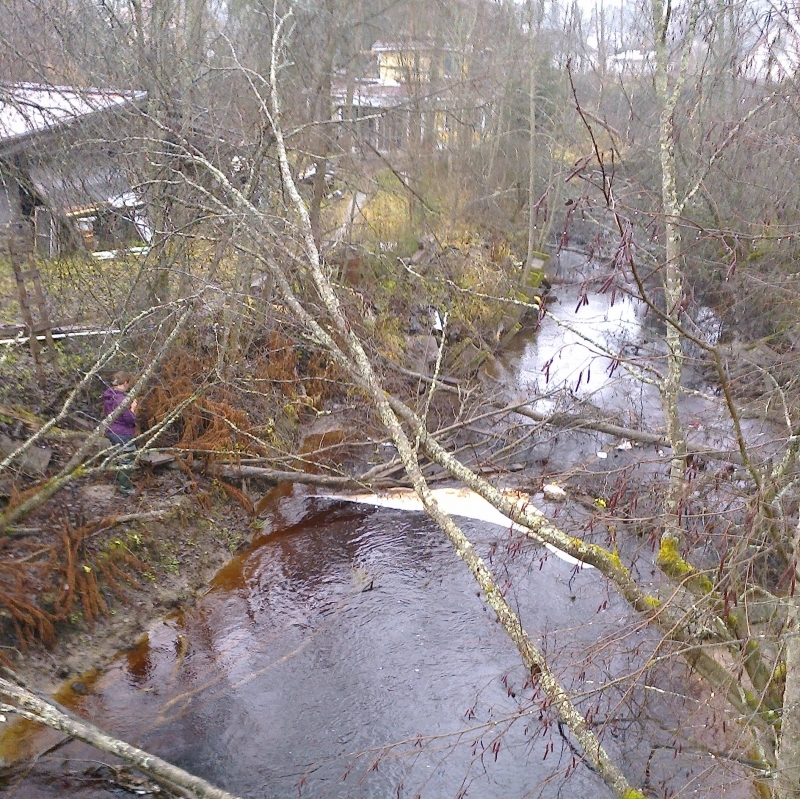 Аурайоки